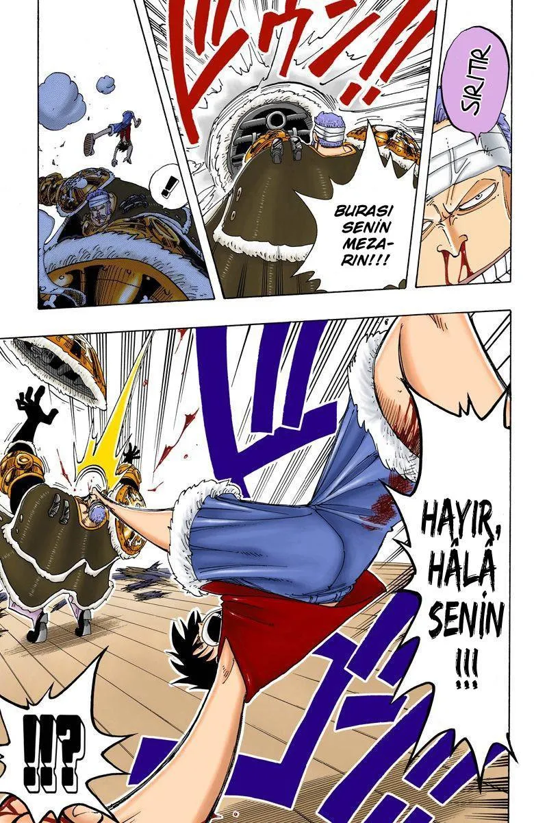 One Piece [Renkli] - Sayfa 20