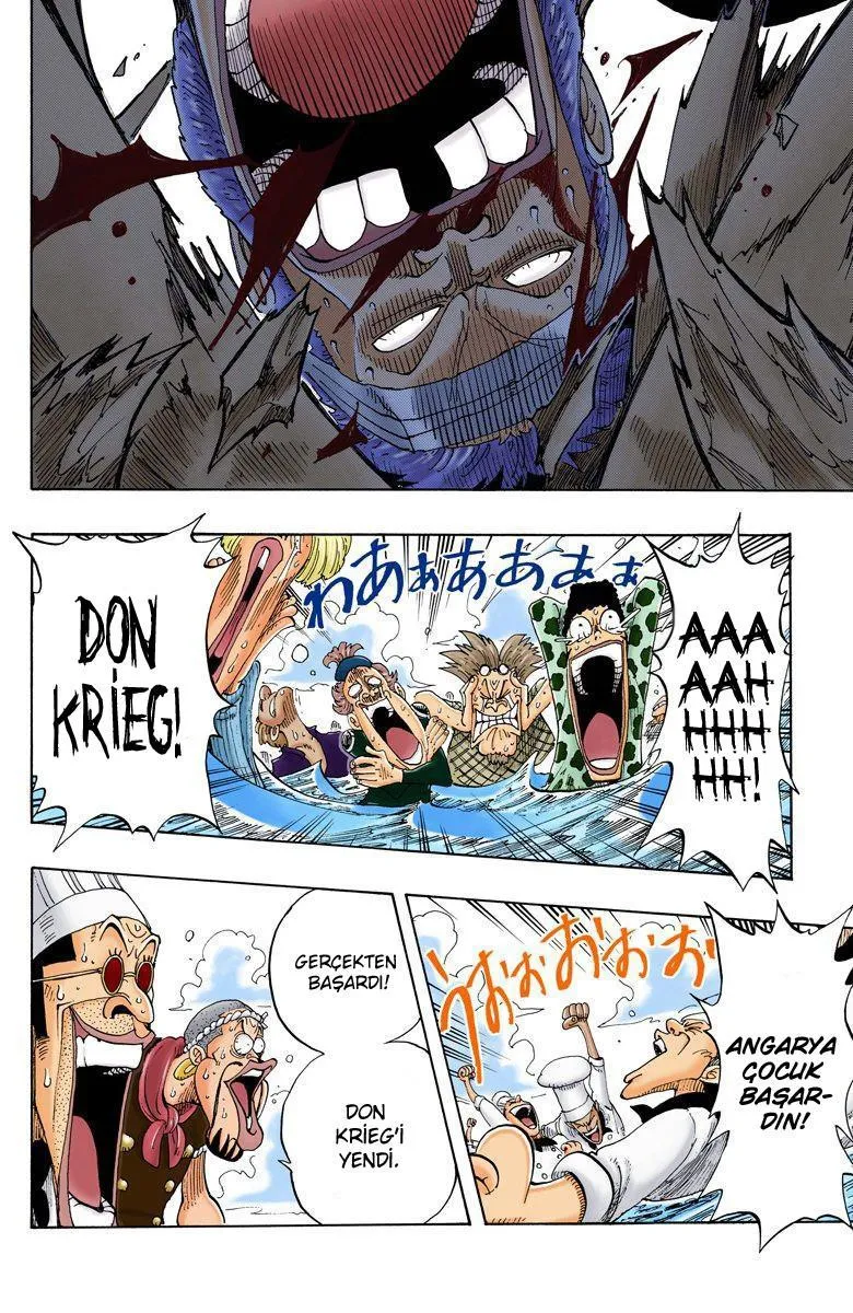 One Piece [Renkli] - Sayfa 12