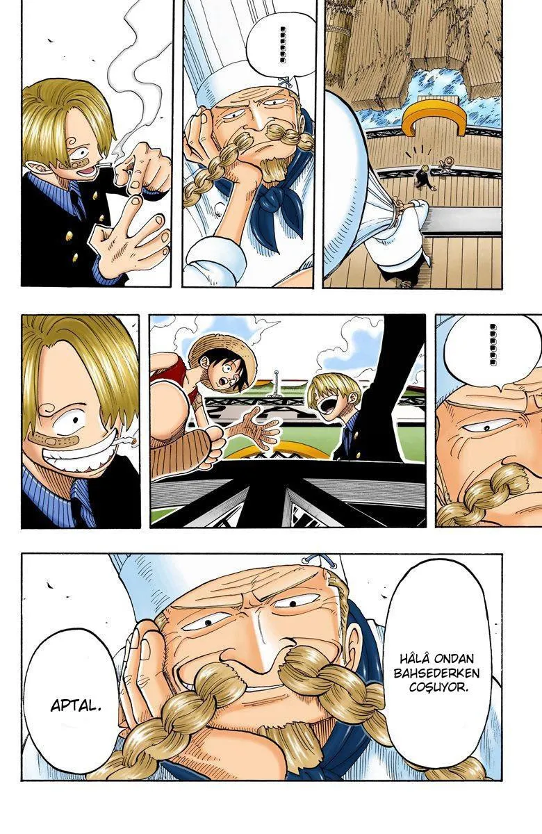 One Piece [Renkli] - Sayfa 13