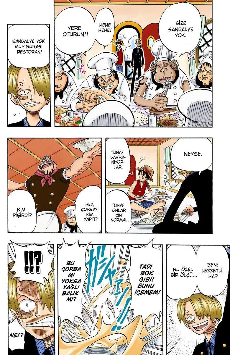 One Piece [Renkli] - Sayfa 15