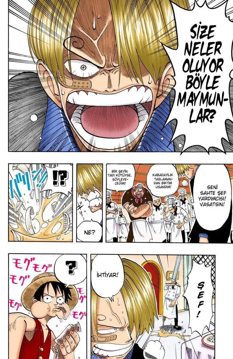 One Piece [Renkli] - Sayfa 17