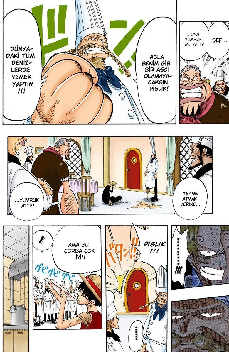 One Piece [Renkli] - Sayfa 19