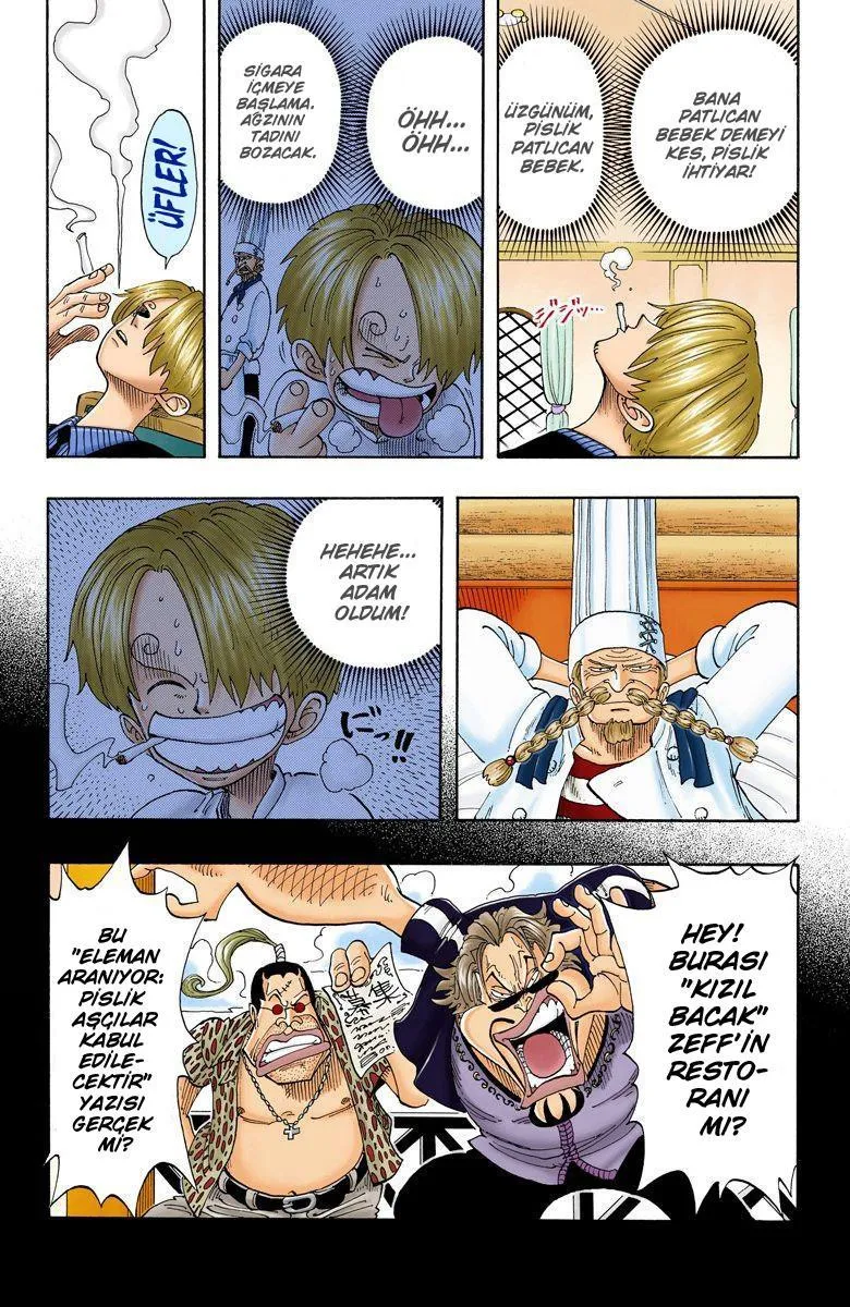 One Piece [Renkli] - Sayfa 13