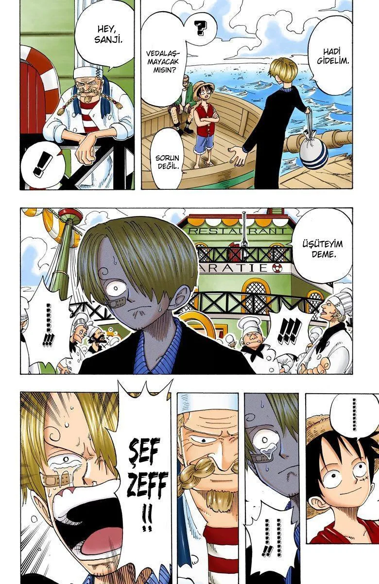 One Piece [Renkli] - Sayfa 17