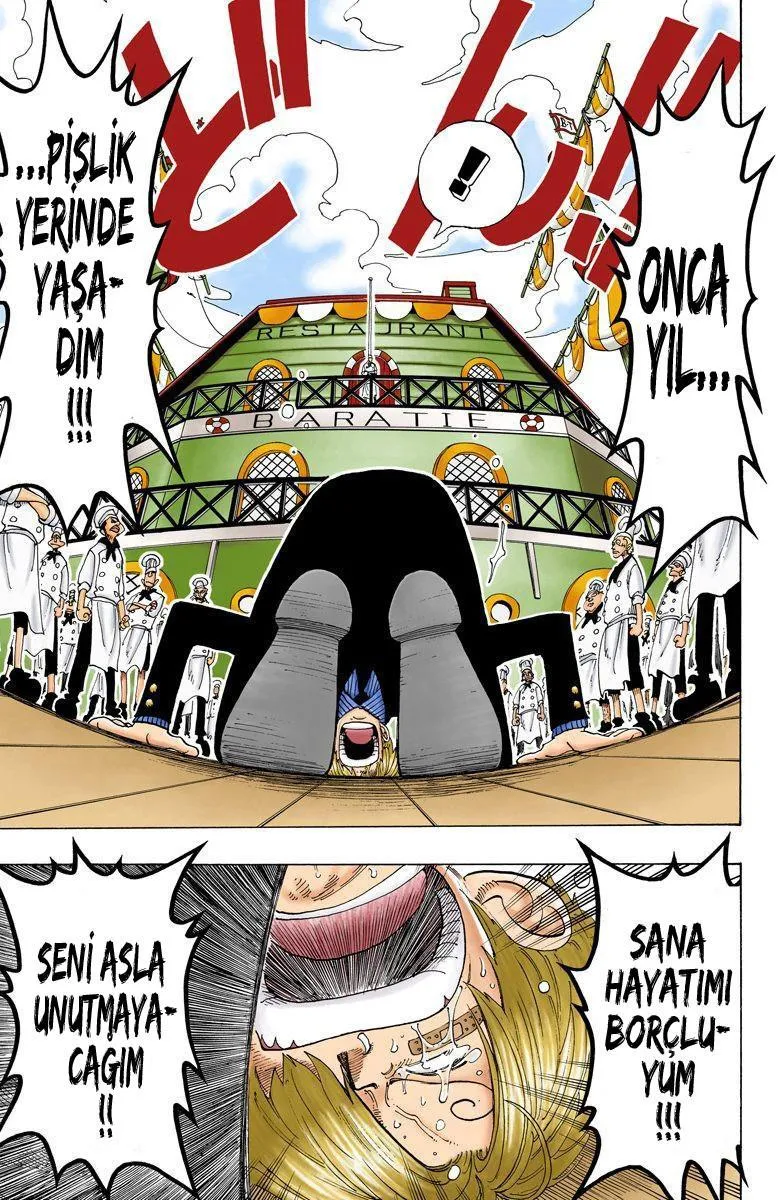 One Piece [Renkli] - Sayfa 18