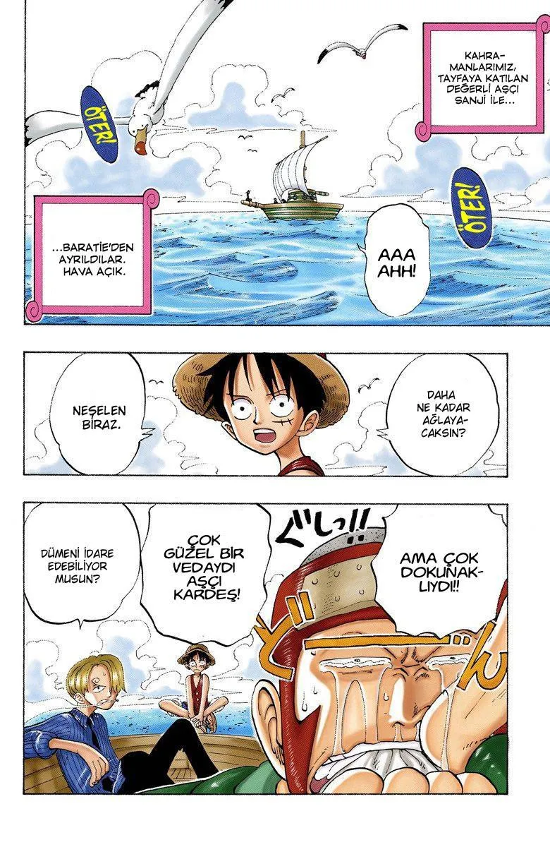 One Piece [Renkli] - Sayfa 3