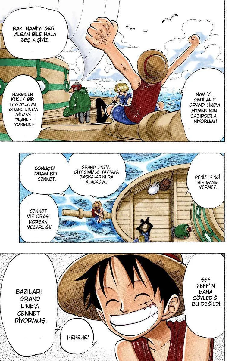 One Piece [Renkli] - Sayfa 4