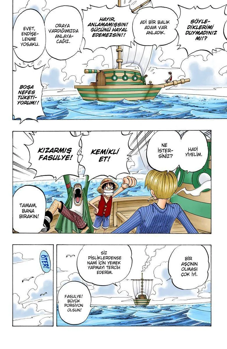 One Piece [Renkli] - Sayfa 12
