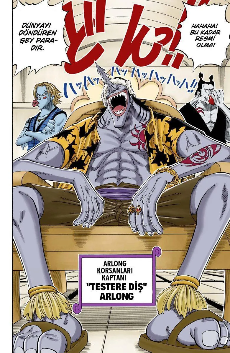 One Piece [Renkli] - Sayfa 14