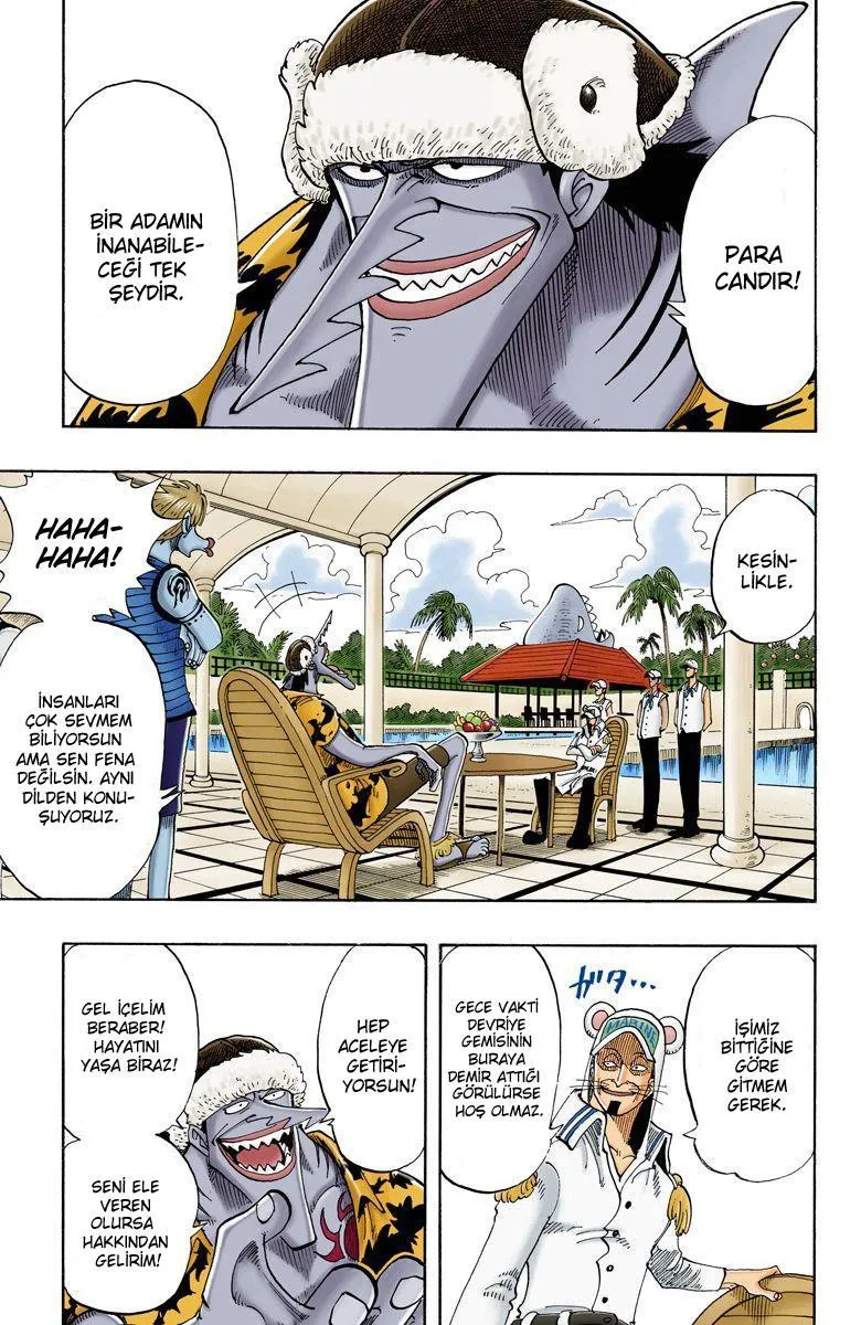 One Piece [Renkli] - Sayfa 15