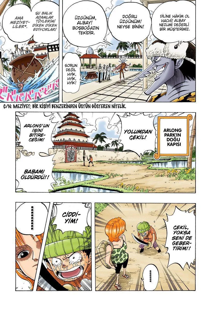 One Piece [Renkli] - Sayfa 17