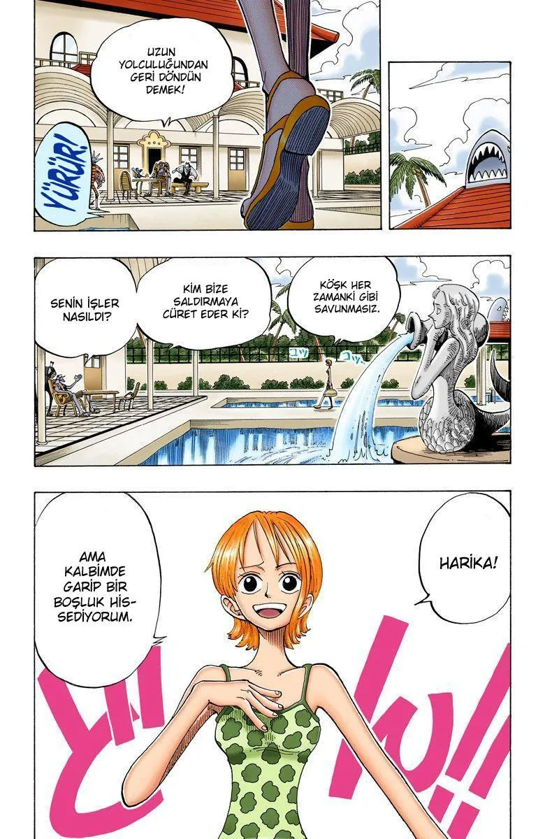 One Piece [Renkli] - Sayfa 19