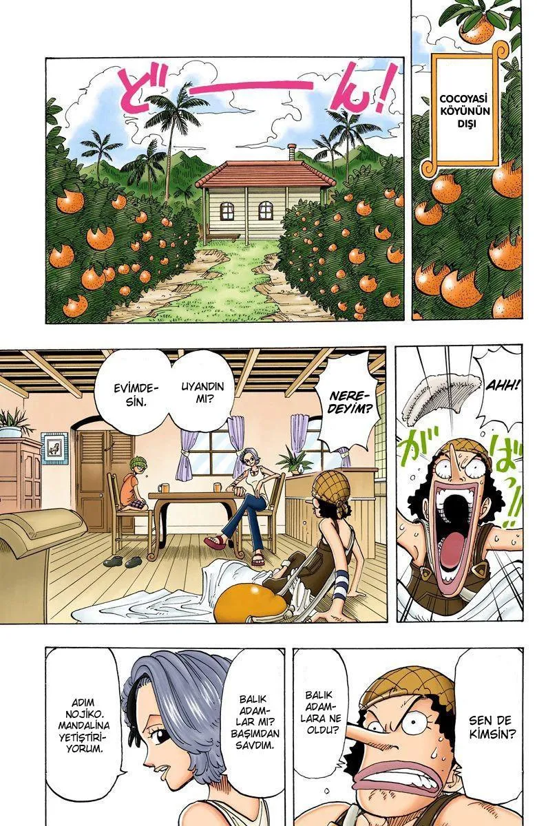 One Piece [Renkli] - Sayfa 14