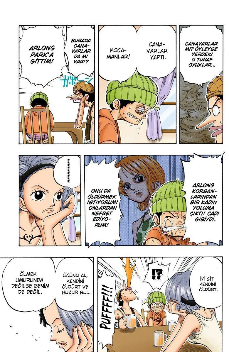 One Piece [Renkli] - Sayfa 16