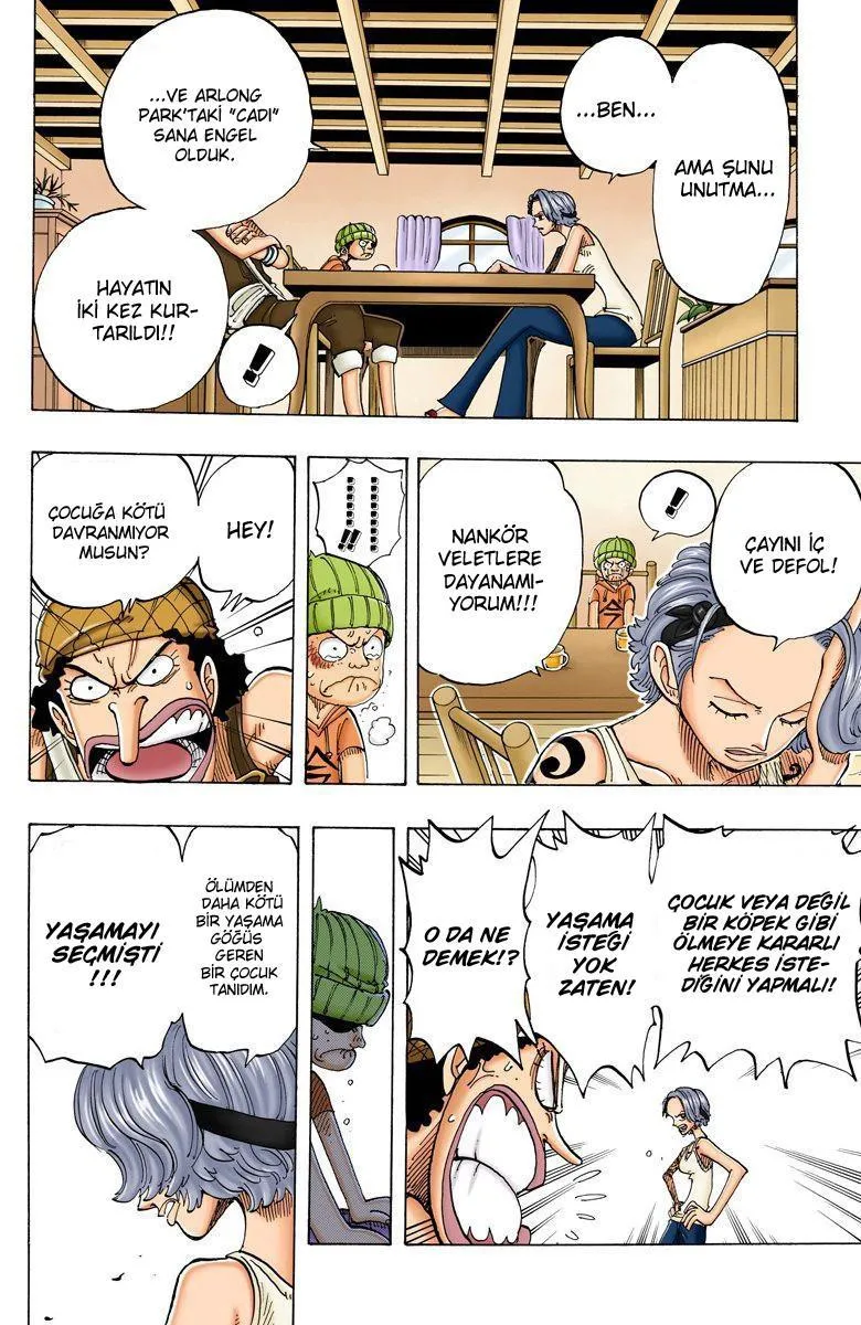 One Piece [Renkli] - Sayfa 17