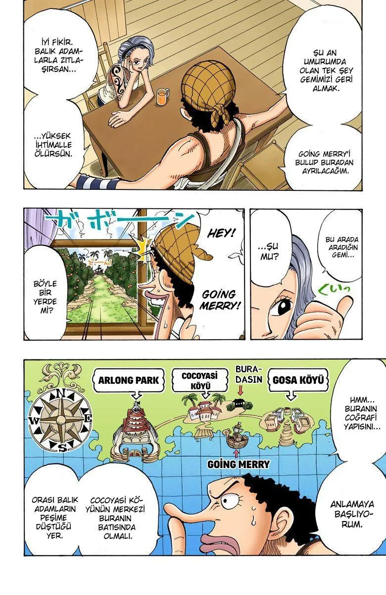 One Piece [Renkli] - Sayfa 5