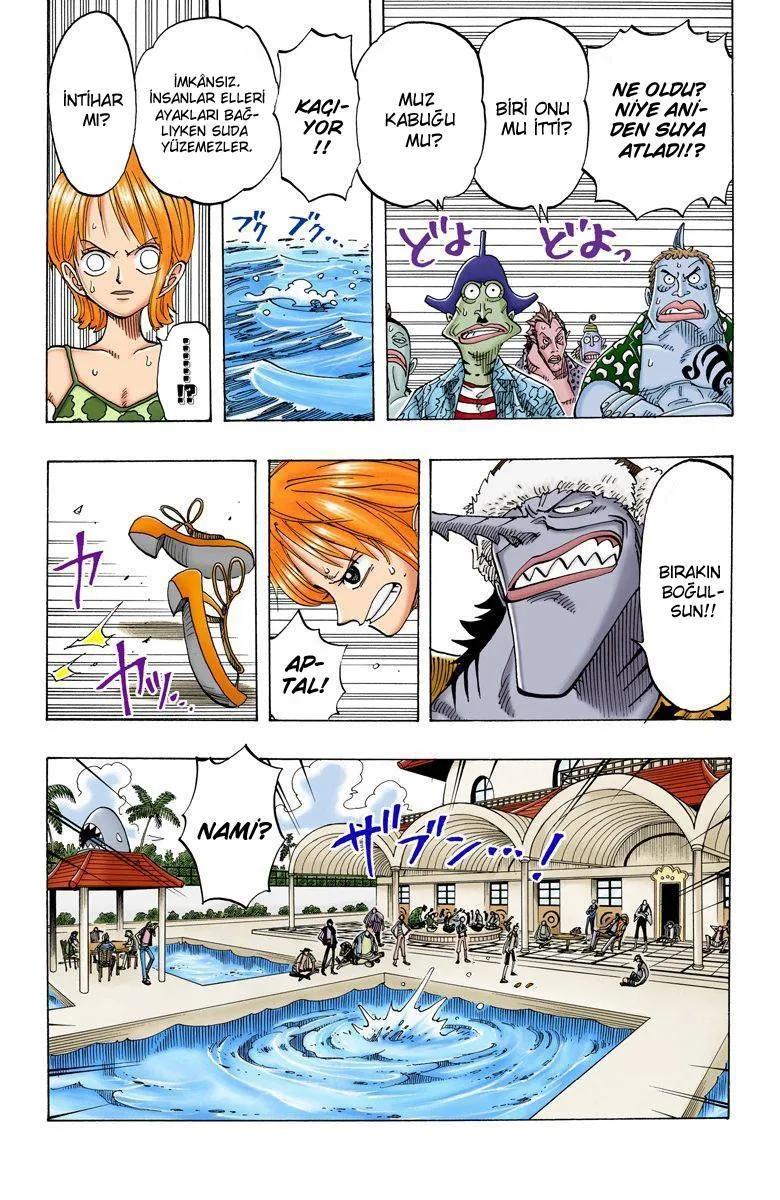 One Piece [Renkli] - Sayfa 12