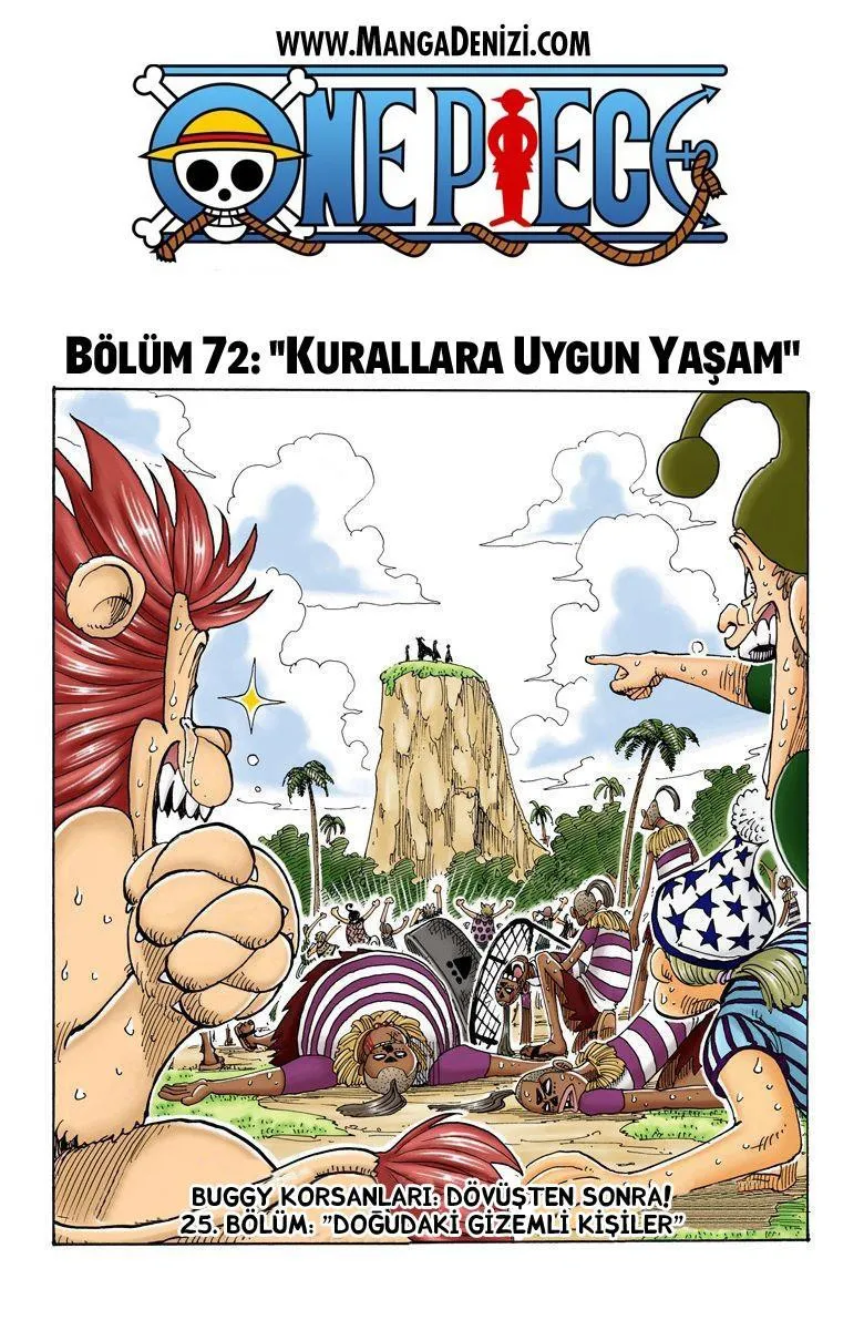 One Piece [Renkli] - Sayfa 2