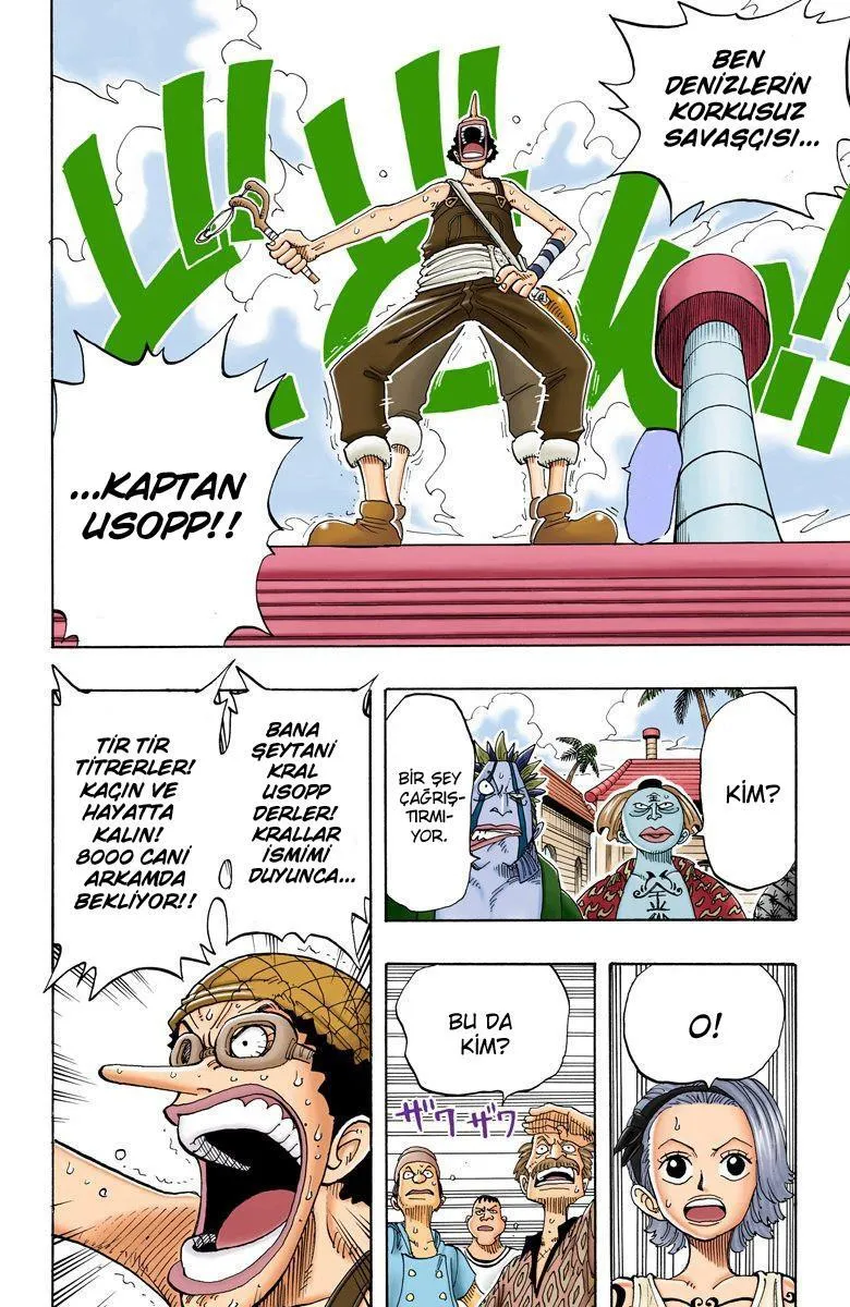 One Piece [Renkli] - Sayfa 11