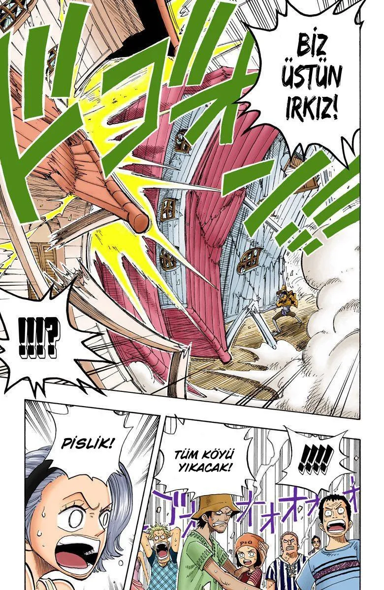 One Piece [Renkli] - Sayfa 14