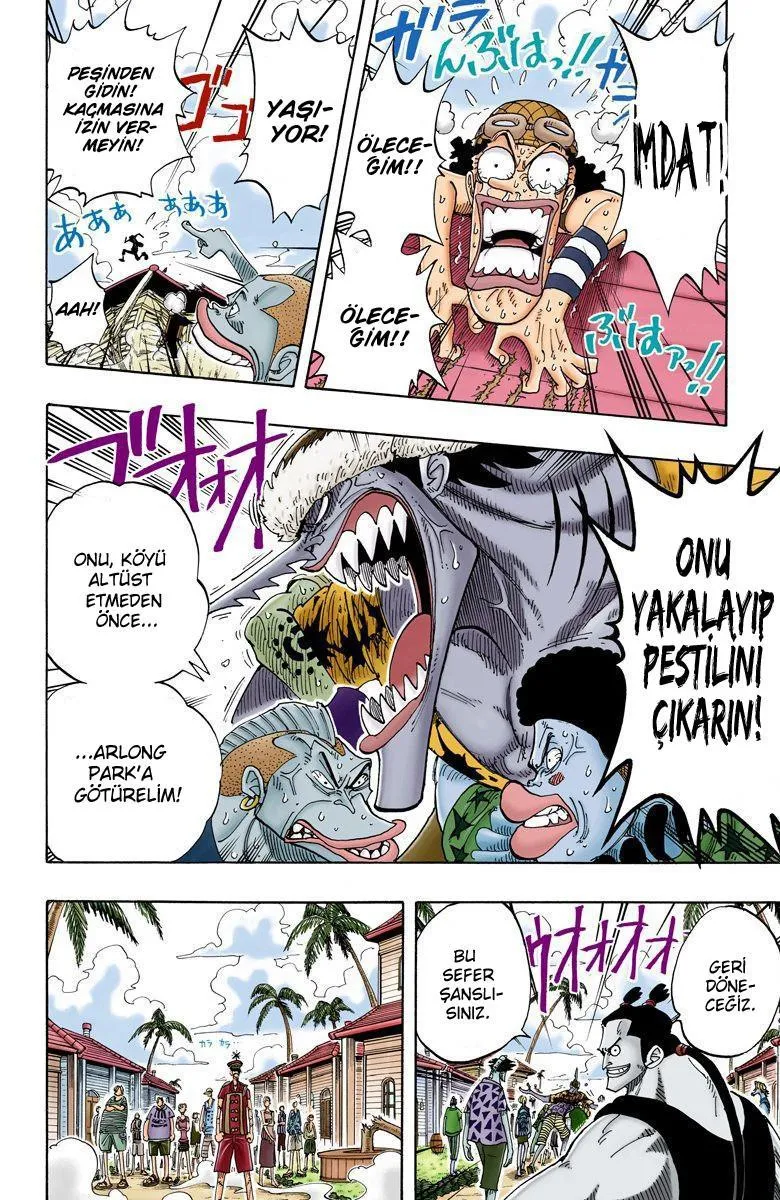 One Piece [Renkli] - Sayfa 15