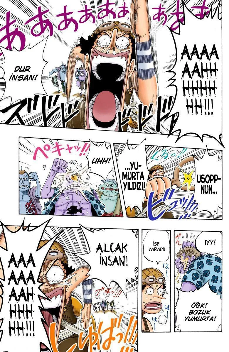 One Piece [Renkli] - Sayfa 16