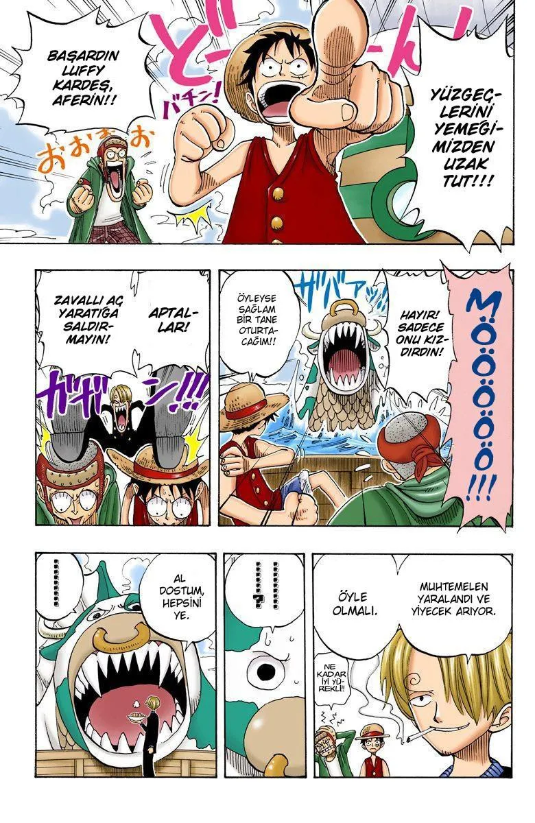 One Piece [Renkli] - Sayfa 10
