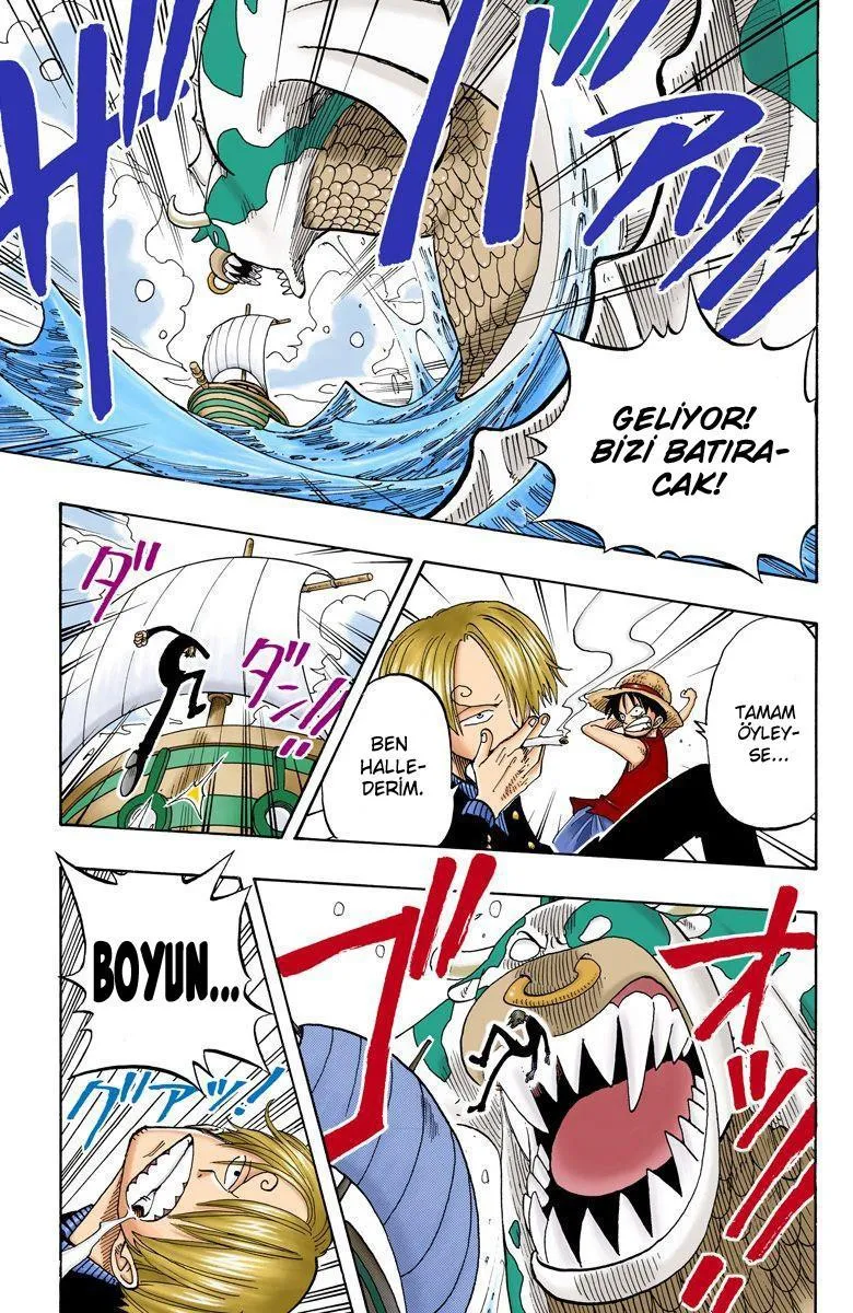 One Piece [Renkli] - Sayfa 12