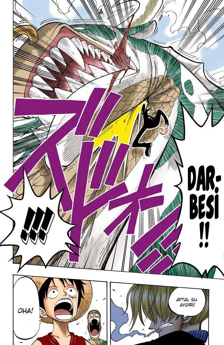 One Piece [Renkli] - Sayfa 13