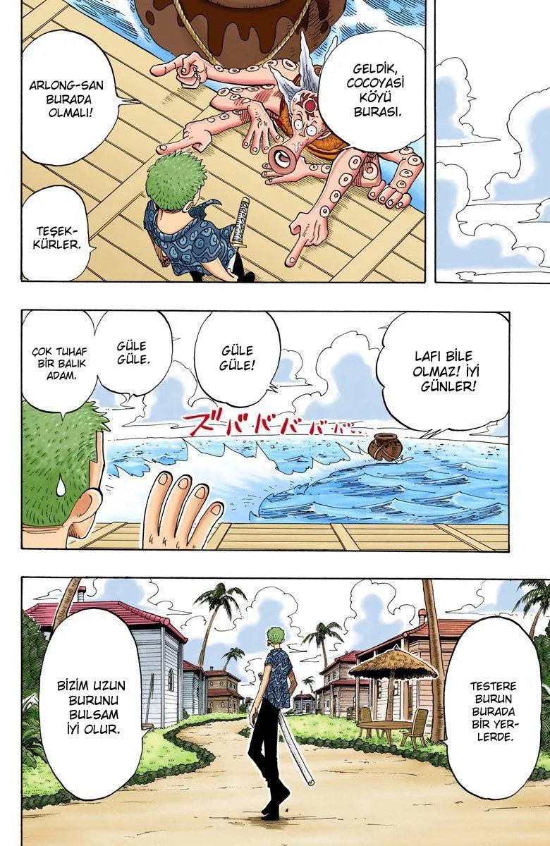 One Piece [Renkli] - Sayfa 15