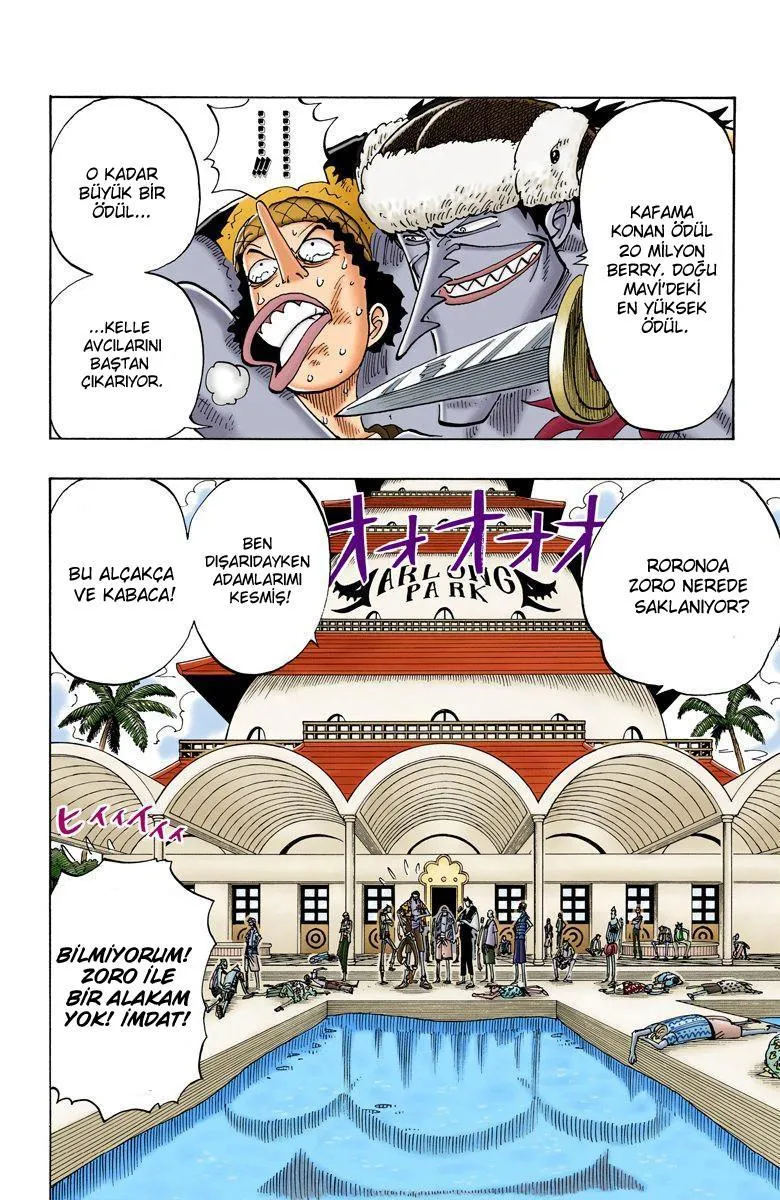 One Piece [Renkli] - Sayfa 3