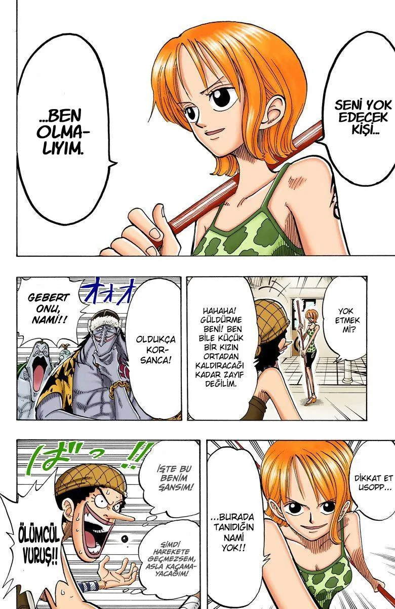 One Piece [Renkli] - Sayfa 11