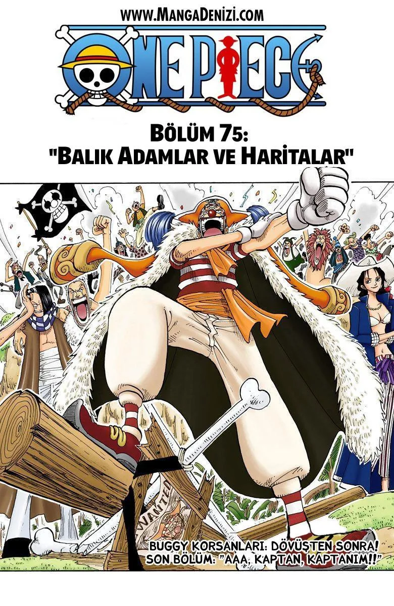 One Piece [Renkli] - Sayfa 2