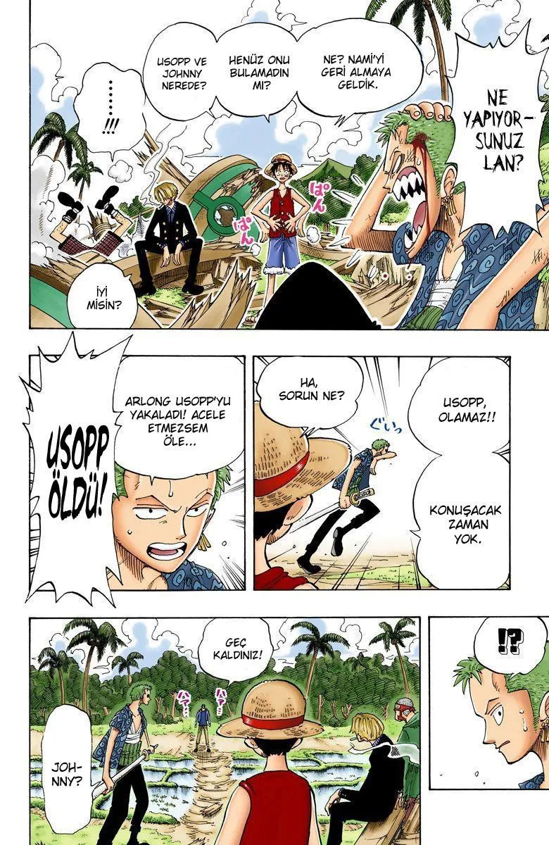 One Piece [Renkli] - Sayfa 7