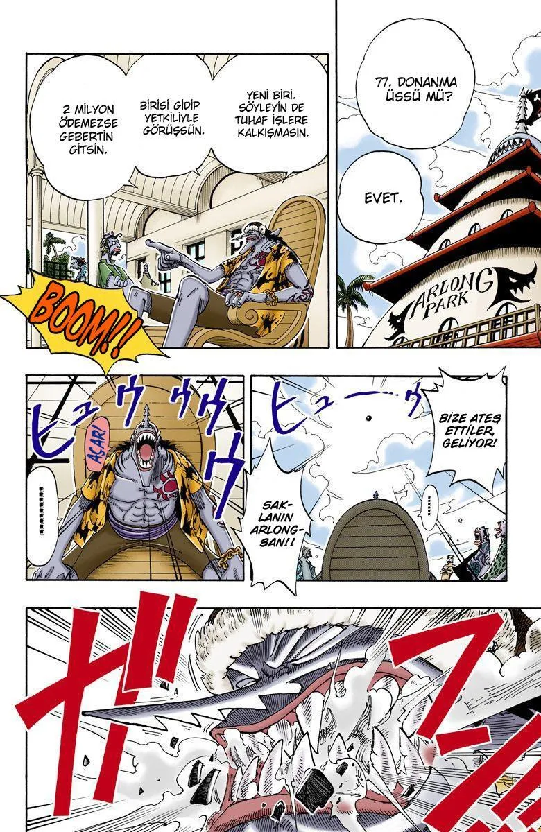 One Piece [Renkli] - Sayfa 11