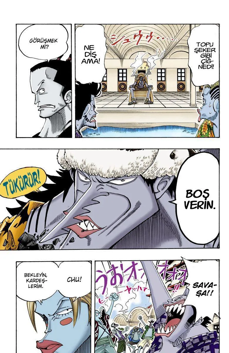 One Piece [Renkli] - Sayfa 12