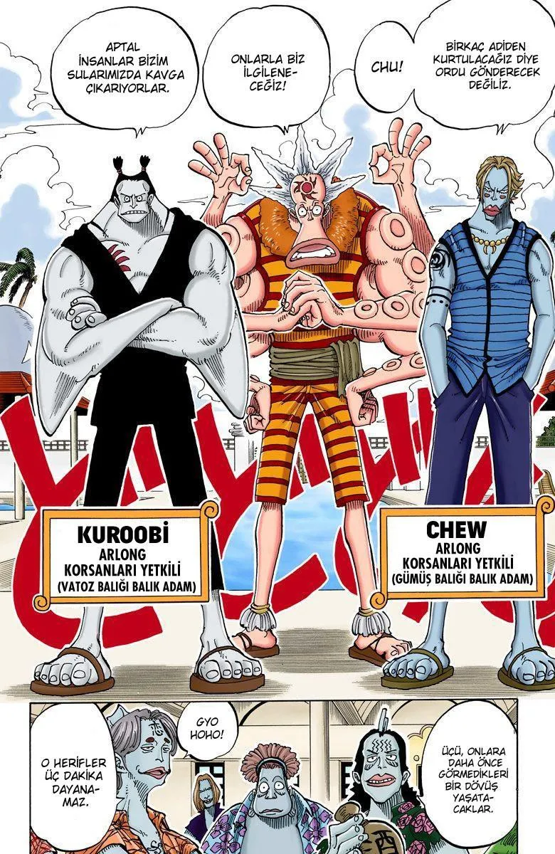 One Piece [Renkli] - Sayfa 13