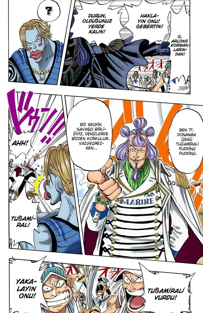 One Piece [Renkli] - Sayfa 15