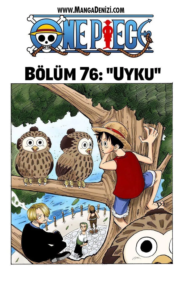 One Piece [Renkli] - Sayfa 2