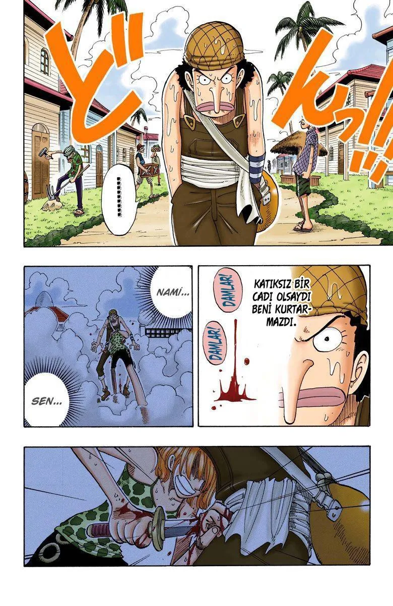 One Piece [Renkli] - Sayfa 11