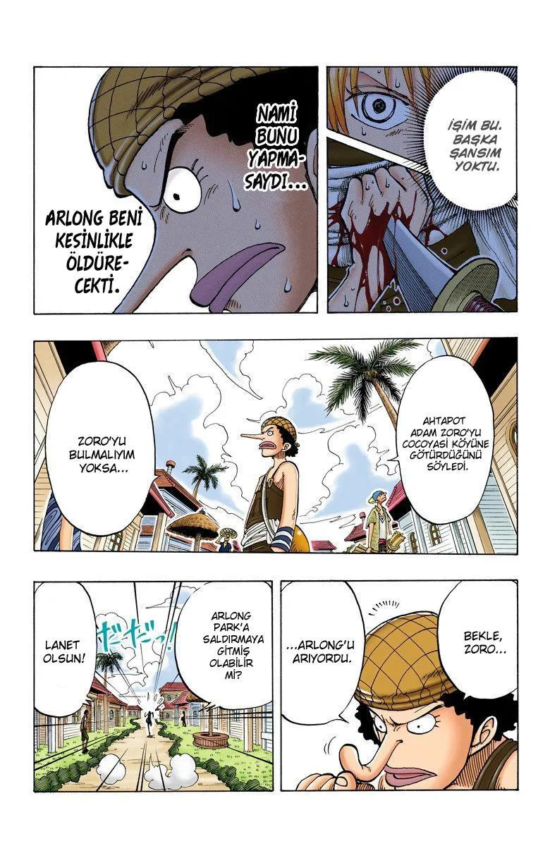 One Piece [Renkli] - Sayfa 12