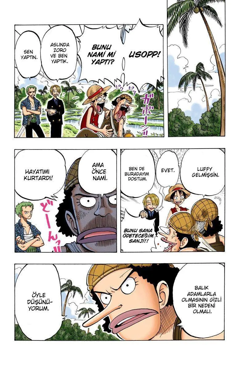 One Piece [Renkli] - Sayfa 18