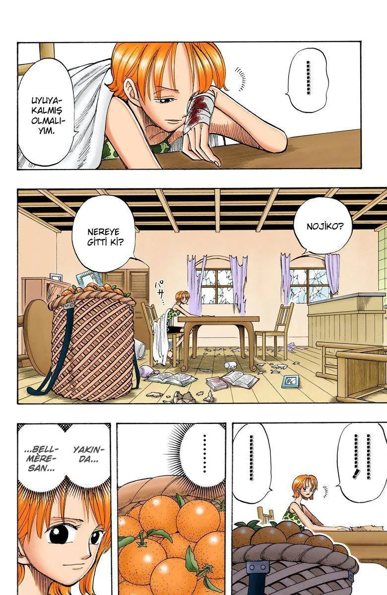 One Piece [Renkli] - Sayfa 5