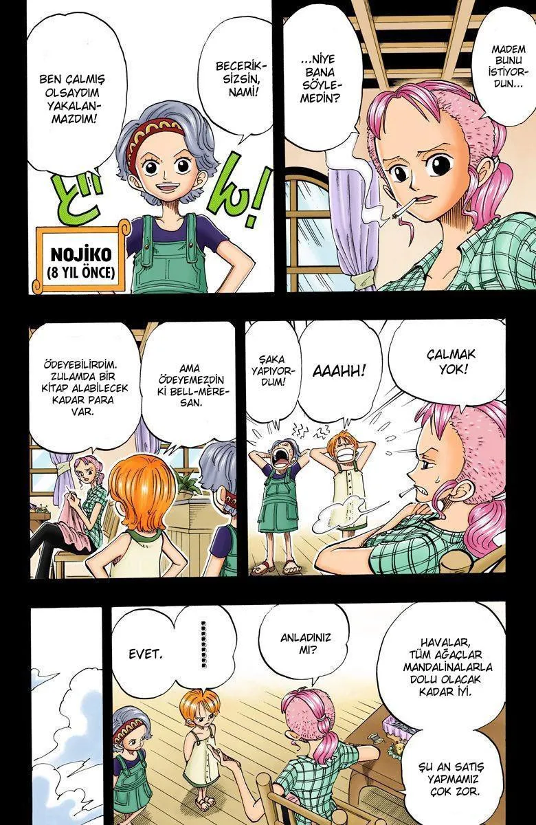 One Piece [Renkli] - Sayfa 9