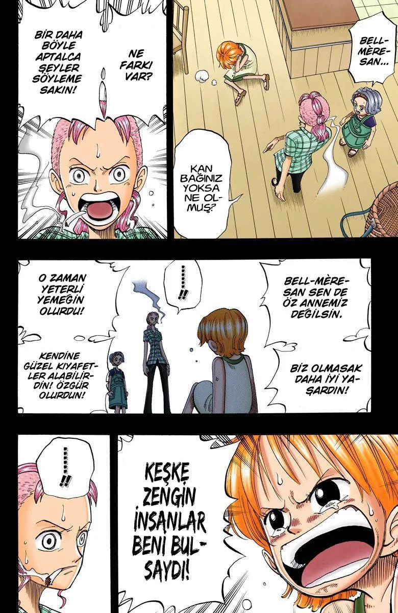 One Piece [Renkli] - Sayfa 13