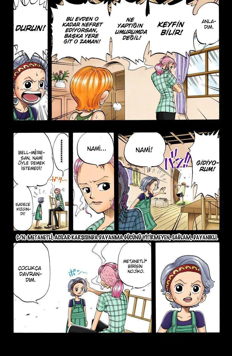 One Piece [Renkli] - Sayfa 14