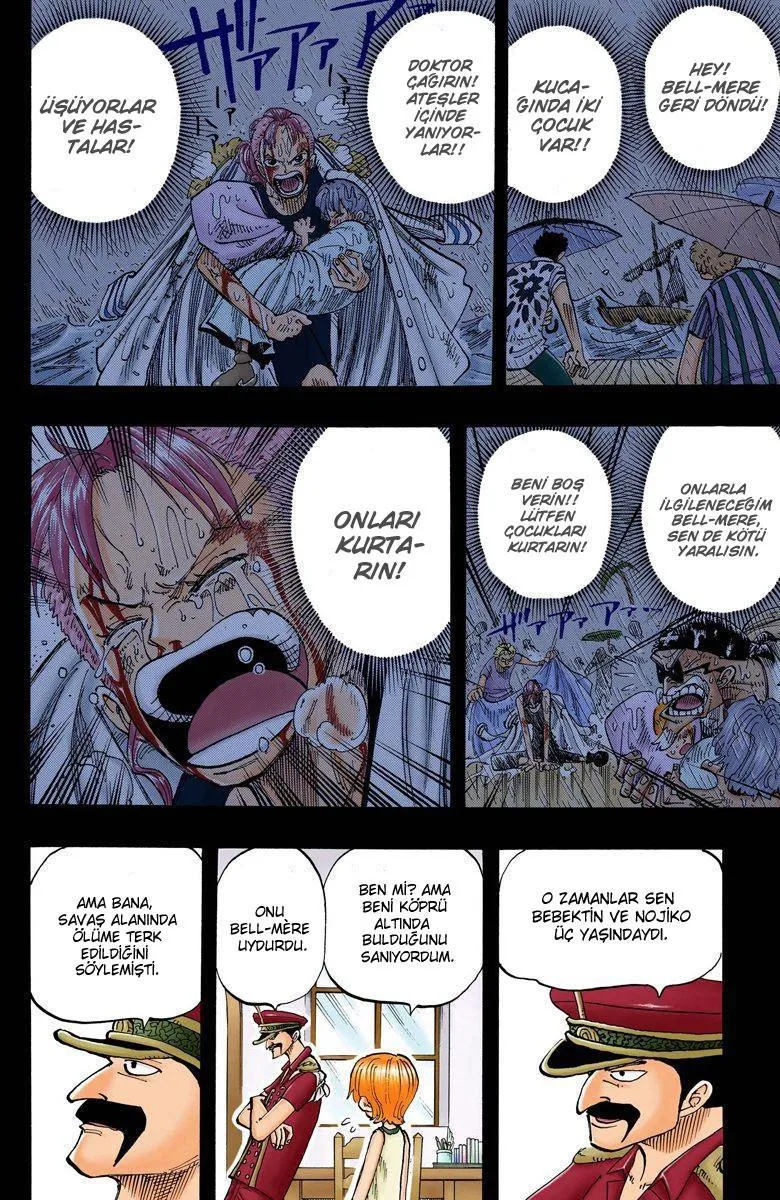 One Piece [Renkli] - Sayfa 17