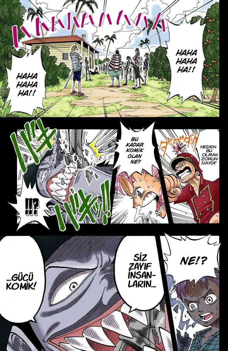 One Piece [Renkli] - Sayfa 10