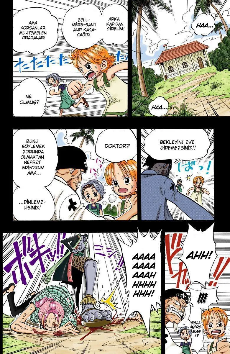 One Piece [Renkli] - Sayfa 11