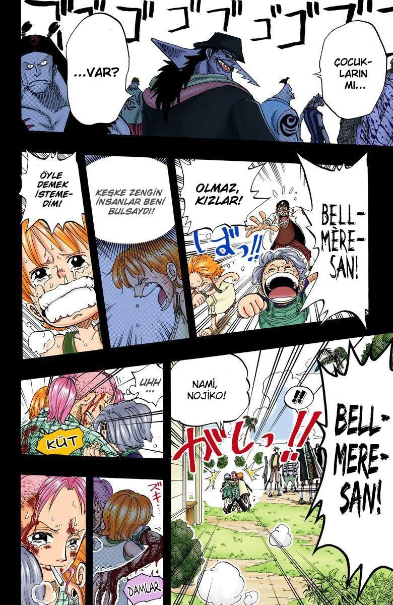 One Piece [Renkli] - Sayfa 17